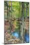 Autumn Forest Stream, Acadia National Park-Vincent James-Mounted Photographic Print