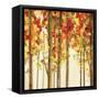 Autumn Forest Study II-Lisa Audit-Framed Stretched Canvas