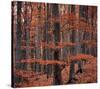 Autumn Forest Trees-null-Stretched Canvas