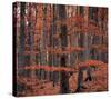 Autumn Forest Trees-null-Stretched Canvas