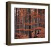 Autumn Forest Trees-null-Framed Art Print