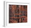 Autumn Forest Trees-null-Framed Art Print