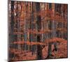 Autumn Forest Trees-null-Mounted Art Print