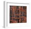 Autumn Forest Trees-null-Framed Art Print