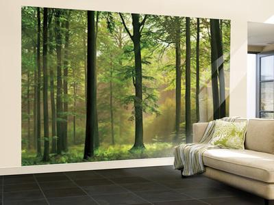 Affordable Wall Murals Posters for sale at AllPosters.com
