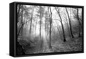 Autumn Forest With Fog And Lights-udvarhazi-Framed Stretched Canvas