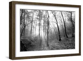 Autumn Forest With Fog And Lights-udvarhazi-Framed Photographic Print