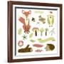 Autumn Forest, Woodland Animals, Flowers and Ribbons-Alisa Foytik-Framed Art Print