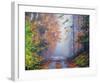 Autumn Forest-Graham Gercken-Framed Art Print