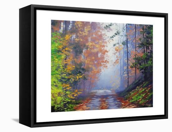 Autumn Forest-Graham Gercken-Framed Stretched Canvas