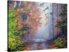 Autumn Forest-Graham Gercken-Stretched Canvas