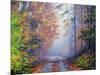 Autumn Forest-Graham Gercken-Mounted Art Print