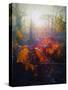Autumn Forest-Helen White-Stretched Canvas