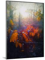 Autumn Forest-Helen White-Mounted Giclee Print