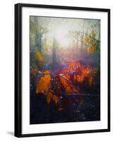 Autumn Forest-Helen White-Framed Giclee Print