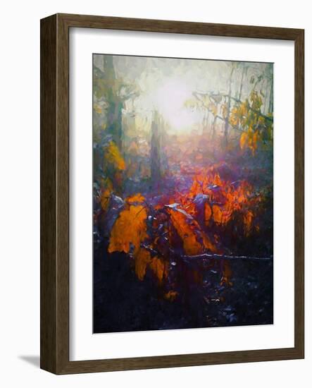 Autumn Forest-Helen White-Framed Giclee Print