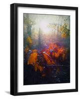 Autumn Forest-Helen White-Framed Giclee Print