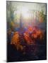 Autumn Forest-Helen White-Mounted Giclee Print