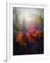 Autumn Forest-Helen White-Framed Giclee Print