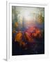 Autumn Forest-Helen White-Framed Giclee Print