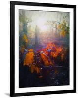 Autumn Forest-Helen White-Framed Giclee Print