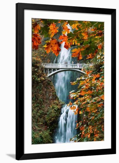 Autumn Frame at Multnomah Falls, Columbia River Gorge, Oregon-Vincent James-Framed Premium Photographic Print