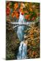 Autumn Frame at Multnomah Falls, Columbia River Gorge, Oregon-Vincent James-Mounted Premium Photographic Print