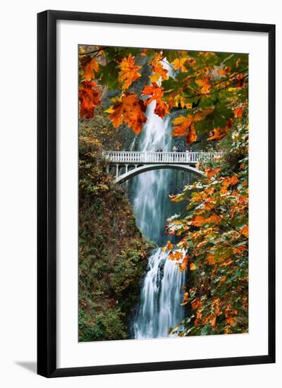 Autumn Frame at Multnomah Falls, Columbia River Gorge, Oregon-Vincent James-Framed Photographic Print