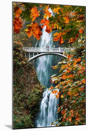 Autumn Frame at Multnomah Falls, Columbia River Gorge, Oregon-Vincent James-Mounted Photographic Print