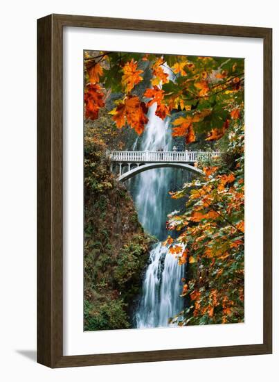 Autumn Frame at Multnomah Falls, Columbia River Gorge, Oregon-Vincent James-Framed Photographic Print