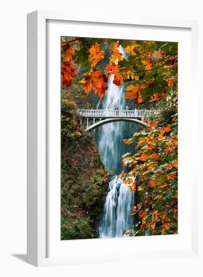 Autumn Frame at Multnomah Falls, Columbia River Gorge, Oregon-Vincent James-Framed Photographic Print