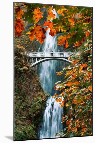 Autumn Frame at Multnomah Falls, Columbia River Gorge, Oregon-Vincent James-Mounted Photographic Print