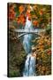 Autumn Frame at Multnomah Falls, Columbia River Gorge, Oregon-Vincent James-Stretched Canvas