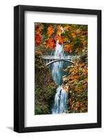 Autumn Frame at Multnomah Falls, Columbia River Gorge, Oregon-Vincent James-Framed Photographic Print