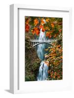 Autumn Frame at Multnomah Falls, Columbia River Gorge, Oregon-Vincent James-Framed Photographic Print