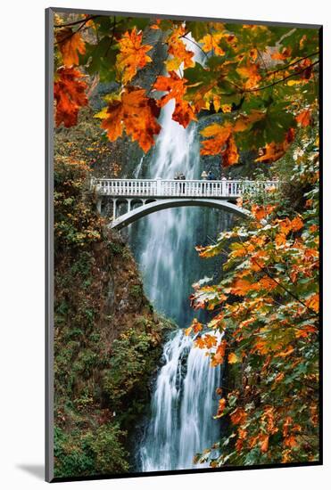 Autumn Frame at Multnomah Falls, Columbia River Gorge, Oregon-Vincent James-Mounted Photographic Print