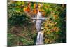 Autumn Frame at Multnomah Falls, Waterfall Columbia River Gorge, Oregon-Vincent James-Mounted Photographic Print