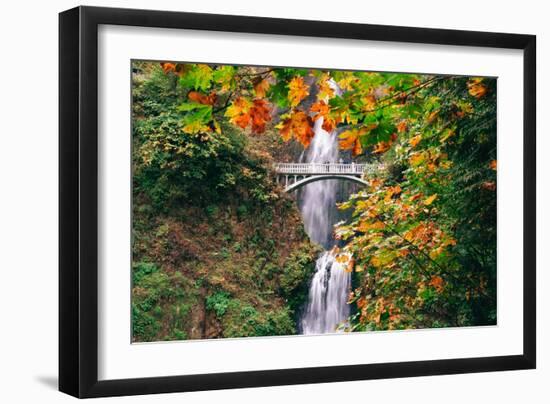 Autumn Frame at Multnomah Falls, Waterfall Columbia River Gorge, Oregon-Vincent James-Framed Photographic Print
