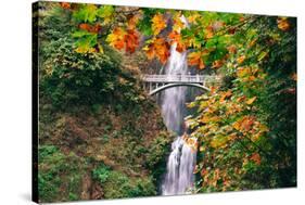 Autumn Frame at Multnomah Falls, Waterfall Columbia River Gorge, Oregon-Vincent James-Stretched Canvas