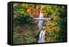 Autumn Frame at Multnomah Falls, Waterfall Columbia River Gorge, Oregon-Vincent James-Framed Stretched Canvas