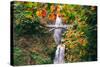 Autumn Frame at Multnomah Falls, Waterfall Columbia River Gorge, Oregon-Vincent James-Stretched Canvas