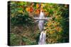 Autumn Frame at Multnomah Falls, Waterfall Columbia River Gorge, Oregon-Vincent James-Stretched Canvas