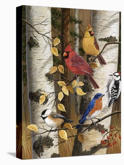 Autumn Friends-William Vanderdasson-Stretched Canvas