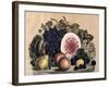 Autumn Fruit-Currier & Ives-Framed Giclee Print