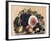 Autumn Fruit-Currier & Ives-Framed Giclee Print