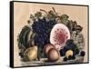 Autumn Fruit-Currier & Ives-Framed Stretched Canvas