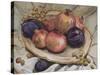 Autumn Fruits, 1992-Carolyn Hubbard-Ford-Stretched Canvas