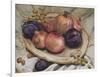 Autumn Fruits, 1992-Carolyn Hubbard-Ford-Framed Giclee Print