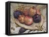 Autumn Fruits, 1992-Carolyn Hubbard-Ford-Framed Stretched Canvas