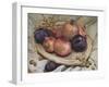 Autumn Fruits, 1992-Carolyn Hubbard-Ford-Framed Giclee Print